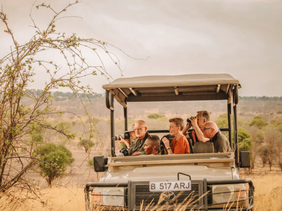 SKL Group of Camp Camp Savuti Game Drive and wildlife photography SKL Group of Camp Camp Savuti Game Drive and wildlife photography